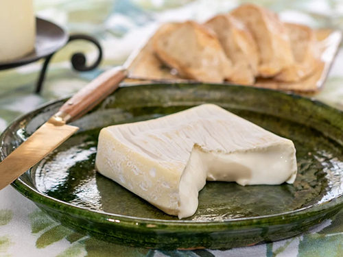 Robiola Cheese