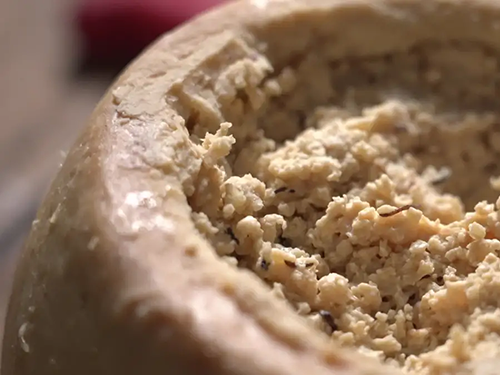 Casu Marzu Cheese